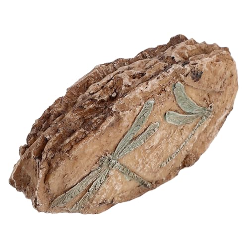 Colecciones paleontológicas objeto de resina marrón Didiseaon diseño realista de réplica