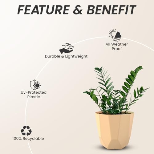 Image of YUCCABE ITALIA SHERA Hexa Plastic Planter Pot for Plants | Decorative Flower Pot | UV Protected Lightweight Indoor Outdoor Gamla for Home Decor, Balcony, Garden & Living Room