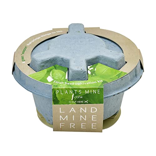 聖新陶芸 PLANTS MINE 栽培キット Peace Blue バジル