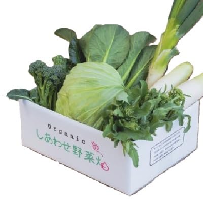 (毎月定期便)しあわせ野菜畑の有機野菜 Sセット (安心の有機JAS認証 オーガニック野菜)全3回