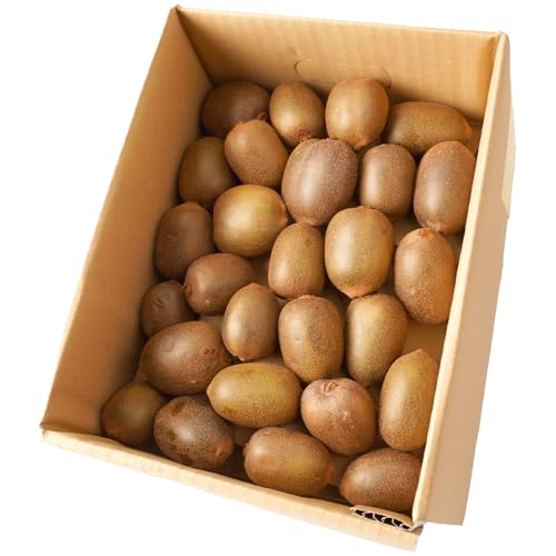 五色青果 香川県オリジナルキウイフルーツ「さぬきキウイっこ」約1kg[香川県共通返礼品] キウイ キウイフルーツ 果物 フルーツ 青果 青果物 さぬきキウイっこ 果実 贈答 贈り物 ギフト 甘い 糖度が高い 季節のフルーツ 旬 香川県 三木町