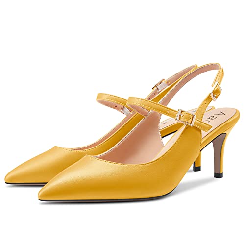 Aachcol Women Pumps Pointed Toe Ankle Strap Slingback Stiletto Kitten Low Heel Dress Shoes Matte Office Wedding Shopping 2.5 Inch4