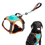 paatata No Pull Dog Harness, 2 in 1 Retractable Harness with Auto-Lock, Reflective Breathable Mesh and Handle, Adjustable Leash Set for Small, Medium,Large Dogs,Cats (Color 1, L)