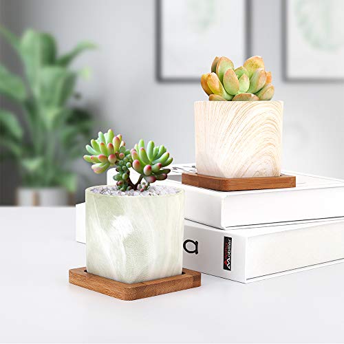 Luxspire 2.8 Inch Small Succulent Pots Set of 4, Mini Ceramic Porcelain Succulent Cactus Plant Pot Planter Container⦠- Afbeelding 7