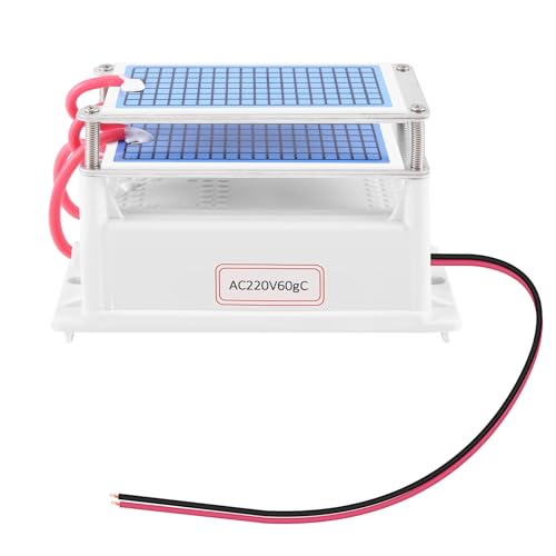 Puthernm 60G / H Generador de Limpiador de Aire Ozonizador Purificador Tratamiento FormaldehíDo Eliminar Olor MáQuina de 220 V