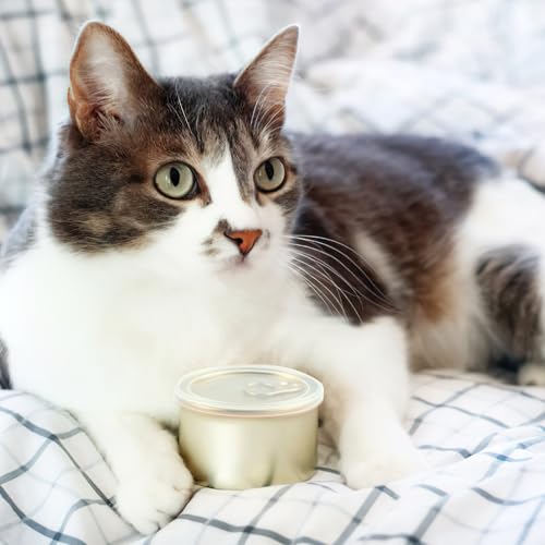 Deepton 6 Stück Dosendeckel 400 g, 75 mm Deckel für Dosen, Waschbar Dosendeckel Katzenfutter Hundefutter, Tierfutterdosen für Aufbewahrung Hunde Katzen Tierfutter