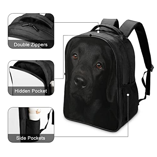Sac à dos Labrador résistant 40x28x16cm - Solution de transport confortable mixte