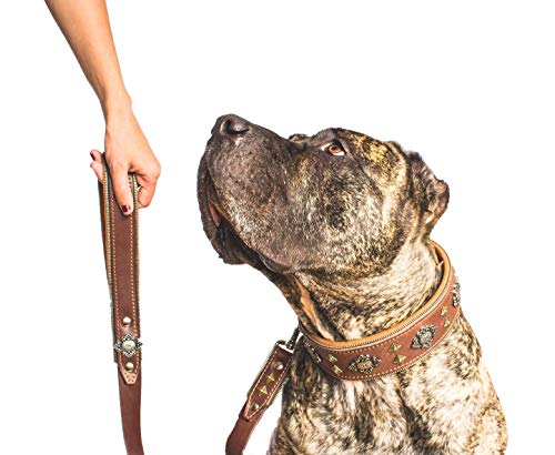 Bestia "Aztec Genuine Leather Big Dog Collar. Studded. 2.5 Inch Wide. Unique Rivet Design. Handmade. Soft Padded With Foam And Leather. Rottweiler, Cane Corso, Mastiffs, Dogo, Bully, American Bulldog #TOP6