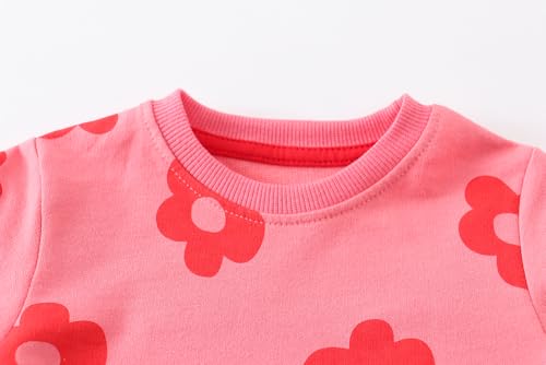Image of AIWUHE Toddler Cotton Sweatshirt Boys Girls Pullover Long Sleeve Tops 2-6Y | Tops Blouse, Cotton T-Shirt, Fall Winter Clothes