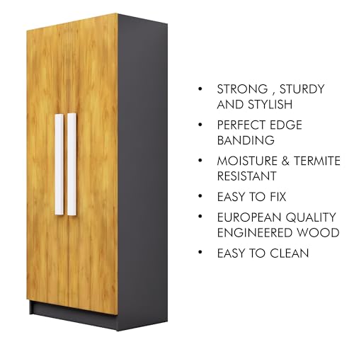 Image of Bniture Wooden Almirah for Clothes, Wardrobe for Bedroom, 2 Door Wardrobe with 4 Shelves Huge Storage Space (46D x 80W x 182H CM) | 3 Year Warranty (Slate Grey & Giant Wood)
