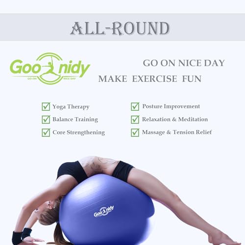 Image of Soft Exercise Ball, Anti-Burst Pilates Yoga Ball Chair Supports 2200lb, Workout Equipment w / Pump for Women Pregnancy, Medicine, Birthing, Physical Therapy, Stability, Excersing, Birth, Swiss, Fitness