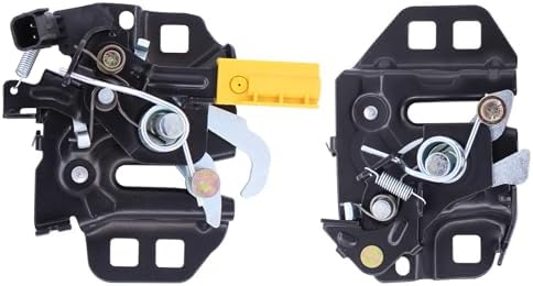 ApplianPar 2Pcs Driver and Passenger Side Hood Lock Latch for Fusion 2013 2014 2015 2016 2017 2018 2019 2020