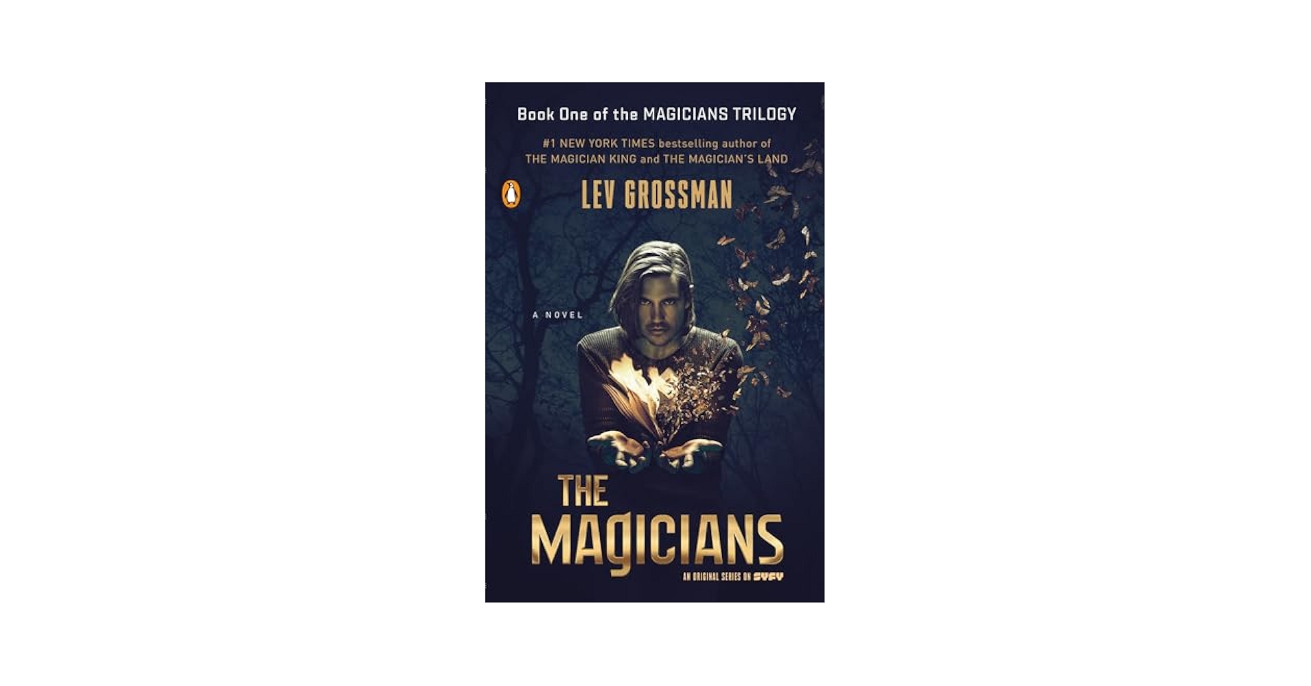 Magician's Theory Book】手品 マジック 書籍 Magicians Theory