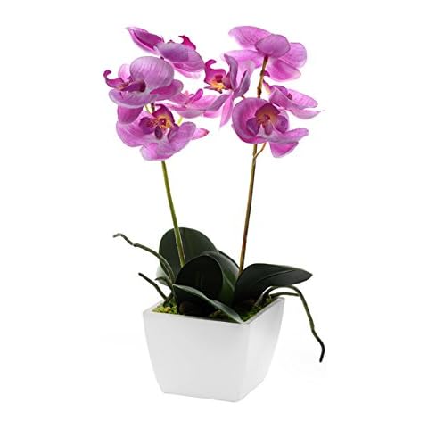 CB Imports Artificial Mini Orchid Potted 33 cm Pale Pink Cover