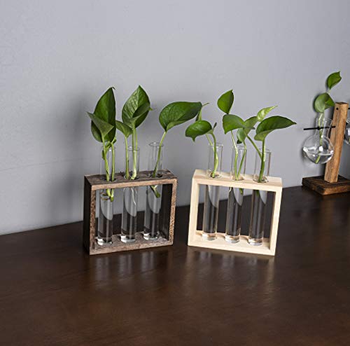 PACDONA Wooden Propagation Station with 3 Glass Test Tubes, Tabletop Glass Terrarium Holder for Cuttings Hydroponics, Home Office Desk Decor Gift for Women Mom Plant Lovers, Brown - Thumbnail 7