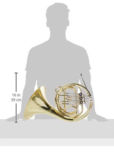 Roy Benson F-Waldhorn HR-302 (Messing Schallstück und Korpus, 3-Ventilig mit Kugelgelenken, Goldmessing Mundrohr, Neusilber Zügen, professionelle Klangqualität, mit kompakten Formetui)