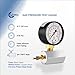 CARBO Instruments Gas Test Pressure Gauge 30 Pound, 30 PSI / 200 kPa, 3/4” FNPT Connection, Brass Valve, Chrome Plated Steel Body Assembly.