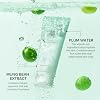 Beauty of Joseon Green Plum Refreshing Cleanser Gel Type Deep Pore Cleansing, limpiadores faciales para todo tipo de piel, cuidado coreano 100ml, 3.38 fl oz 3.38 Fl Oz (Paquete de 1) 8