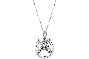 Silver Lucky Horseshoe Necklace: Small Charm Pendant Adorned on 18" Chain
