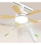 Amazon.co.jp : TENKOO&YOU シーリングファンライト led Φ50cm 3,500LM
