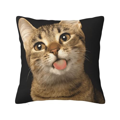  L Jo[  ₷ ԗplGʗp 18"X18"