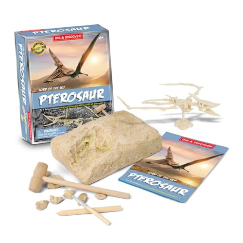 KOMBIUDA Dinosaurier Spielzeug Archäologie-Graben Grabspielzeug Für Junge Mädchen Archäologische Bildung Simulationsspielzeug Aus Gesundheitsförderndem Material Mit