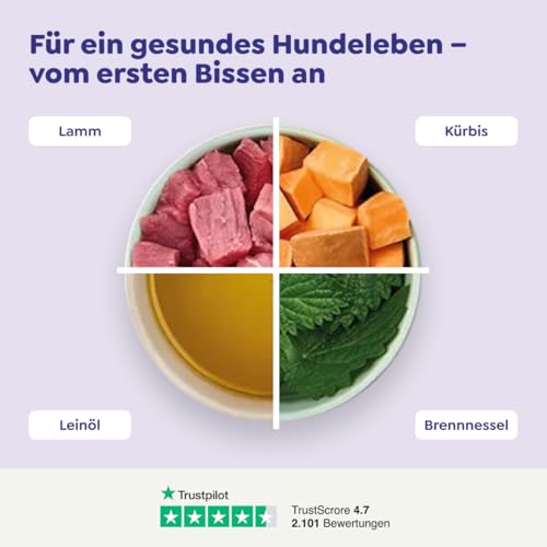 WOW Dog Hunde-Nassfutter mit Lamm 6 x 800g | ohne Getreide & Zucker