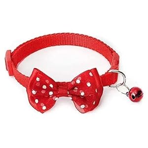 Dog Trust Dog Collar with Bell-Bow Tie Cute Safety Collars for Puppies and Small Dogs (Color May Very)