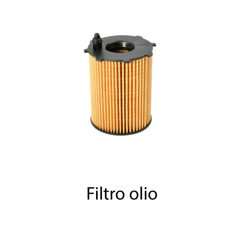 Kit tagliando 4 filtri + 4L olio 5W-30 Ineo compatibile con Citroen berlingo ii 1.6 BLUEHDI 100 Gasolio 2014-2021