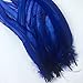 Sowder Royal Blue Rooster Coque Tail Feathers 13-16inch Lengh Pack of 50
