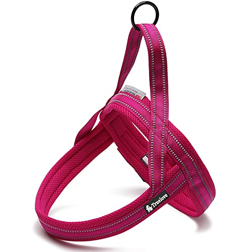 J&C Paradise ȒP n[lX {KX p SȂ 3M lC ȒP v X|[c TRUELOVE (?SS/xxs, sN)