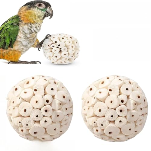 ASQzhuLIWing 2 Piezas Naturales Sola para pájaros Juguetes Suaves para Masticar Adecuado para pequeñas Mascotas Loros cacatúas tortolitos periquitos pinzones guacamayos hámsters y Conejos