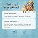 Pet Vet Flavored Activated Charcoal Gel for Dogs & Cats (60ml Bottle, 2 Pack), Dog First Aid Activated Charcoal, Absorbs Toxins, Supports Poisoning, & Gas Relief, Emergency Pet Dog Supplies (Beef)