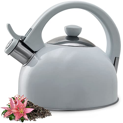 KADAX Hervidor de agua de acero inoxidable, hervidor de agua de 1,7 l, tetera para todo tipo de cocinas, hervidor de agua inoxidable, hervidor de flauta retro (gris)