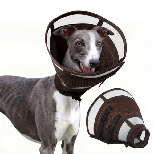 Dora Bridal ���p�R�[���J���[ ��p�㒆�^���p �\�t�g�ŉ��K�ȃ��J�o���[�y�b�g�R�[�� ��֕i �G���U�x�X�J���[ ���߉\�G���U�x�X�J���[ ���r�߂��~�߂�(�u���E��, M)