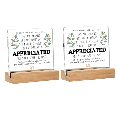 Bluckincle 2 Pcs Employee Appreciation Gifts,Thank You Gifts for Women Men - Teacher,Social Worker,Paraprofessional,Staff,Volunteer,Para,Assistant Principal,Coworkers,Arcylic Office Desk Decor