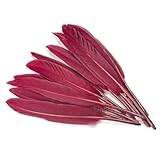 Plumas de ganso de 10-15 cm, naturales y resistentes, ideales para atrapasueños y manualidades. Disponibles en varias cantidades. Color: vino tinto. Paquete de 300 unidades.