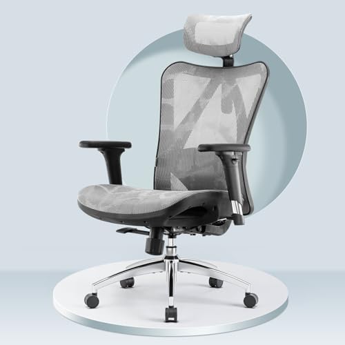 SIHOO® M57 Ergonomic Office Chair, Computer Desk Chair, 3D Adjustable High-Back, Breathable Skin-Friendly Mesh with Armrest, Lumbar Support (Grey)