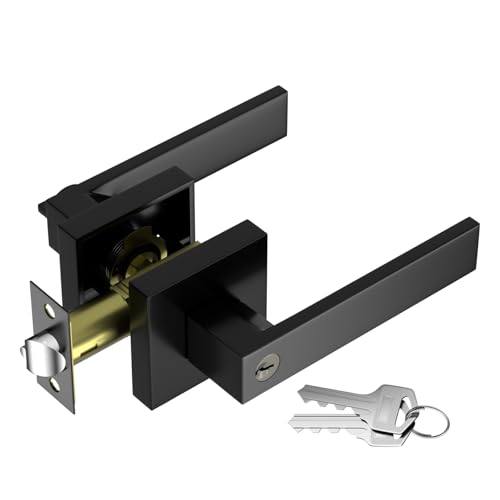 Matte Black Door Handle, Heavy Duty Door Lock, 2.2lb, Keyed Entry, 1 Pack