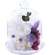 ご予約済✦2点セット✦謹賀新年＆くまちゃんのクリスマス…ブリザーブドアレンジ Amazon｜プリザーブドフラワー プリザードフラワー クマさんと一輪の