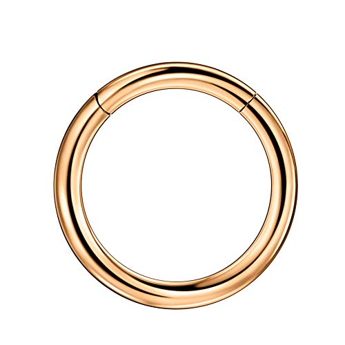 Image of FANSING Men Women 316L Surgical Steel Hinged Nose Rings Hoop for Nostril Septum Cartilage Helix Daith Tragus Rook Conch Lip Ear Lobe Piercings