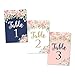 1-25 Navy Blush Floral Table Number Double Sided Signs For Wedding Reception, Restaurant, Birthday Event, Calligraphy Printed Numbered Card Centerpiece Decoration Setting Reusable Frame Stand 4x6 Size