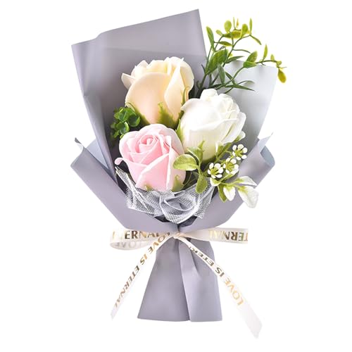  u[P   \[vt[ ԑ a ̓ ̓ o FB̑蕨 t[ jɓKp Əj VNt[ ق̂ȍ  (Vo[)