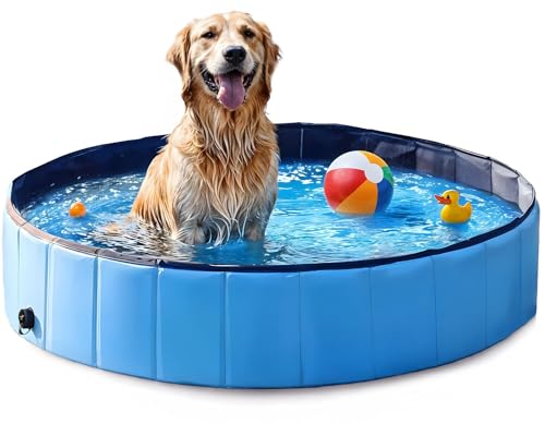 MERSJO Hundepool Dexter, 80x20 cm, Faltbarer Pool für Hunde und Tiere, 100L Fassungsvermögen, Rutschfester Boden, Blau