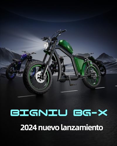 BIGNIU Bicicleta elétrica para adultos, motor sem escova de 800 W, 48 V / 22,5 Ah, bicicleta elétric