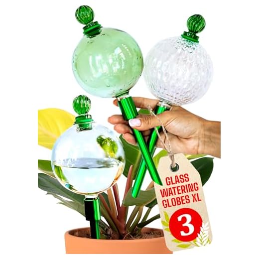 Self-Watering Glass Globes for Plants