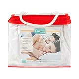 CoolSilk 4-Inch Quilted Cotton & Silk Zippered Pillow Protector - 2 Pack - Standard (20x26) - White...