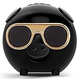 Función: la reproducción de Bluetooth, micrófono de amplificación canción K, radio FM, reproducción de la tarjeta del TF, reproductor de MP3, USB primera pasada.
