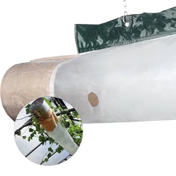 Bio Green Phoenix Greenhouse Heater - What Makes It Stand Out? 1 bio green phoenix greenhouse heater