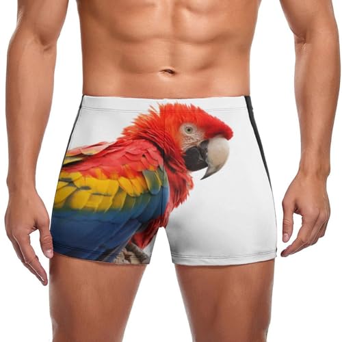 Short de bain homme perroquet coloré de qualité supérieure swimming trunks
